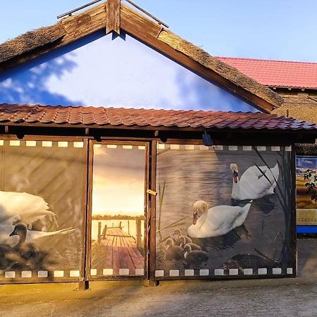 Pensiunea Miasor Hotell Murighiol Exteriör bild